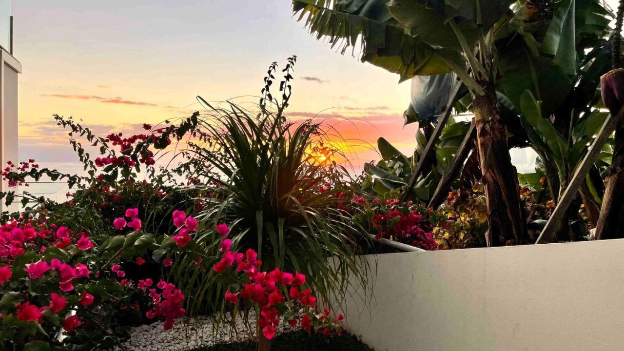 Holiday Apartment Ocean View ริเบรา บราวา ภายนอก รูปภาพ